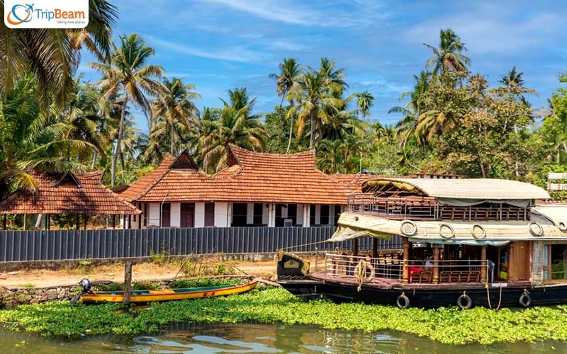 Backwater Bliss Resort