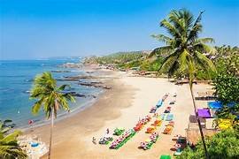 Beach Paradise